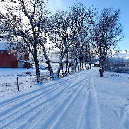 Daire A House In The Heart Of Vesteralen *